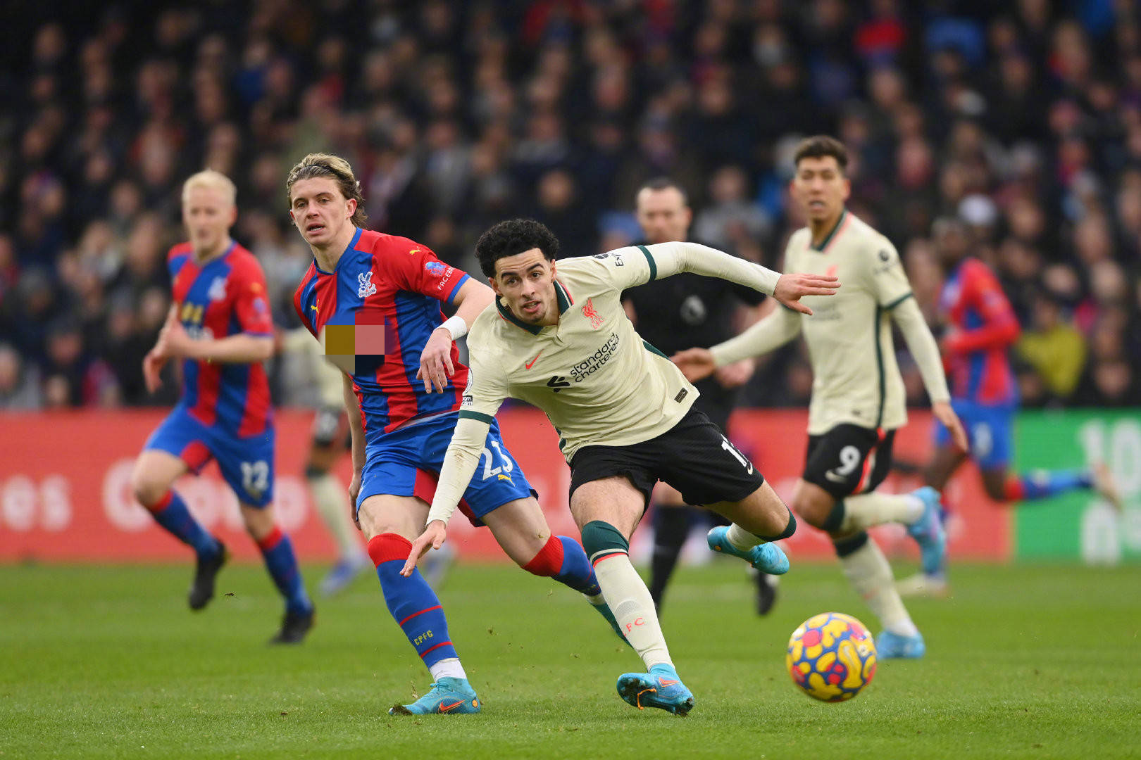 便展现了咄 便展现了咄